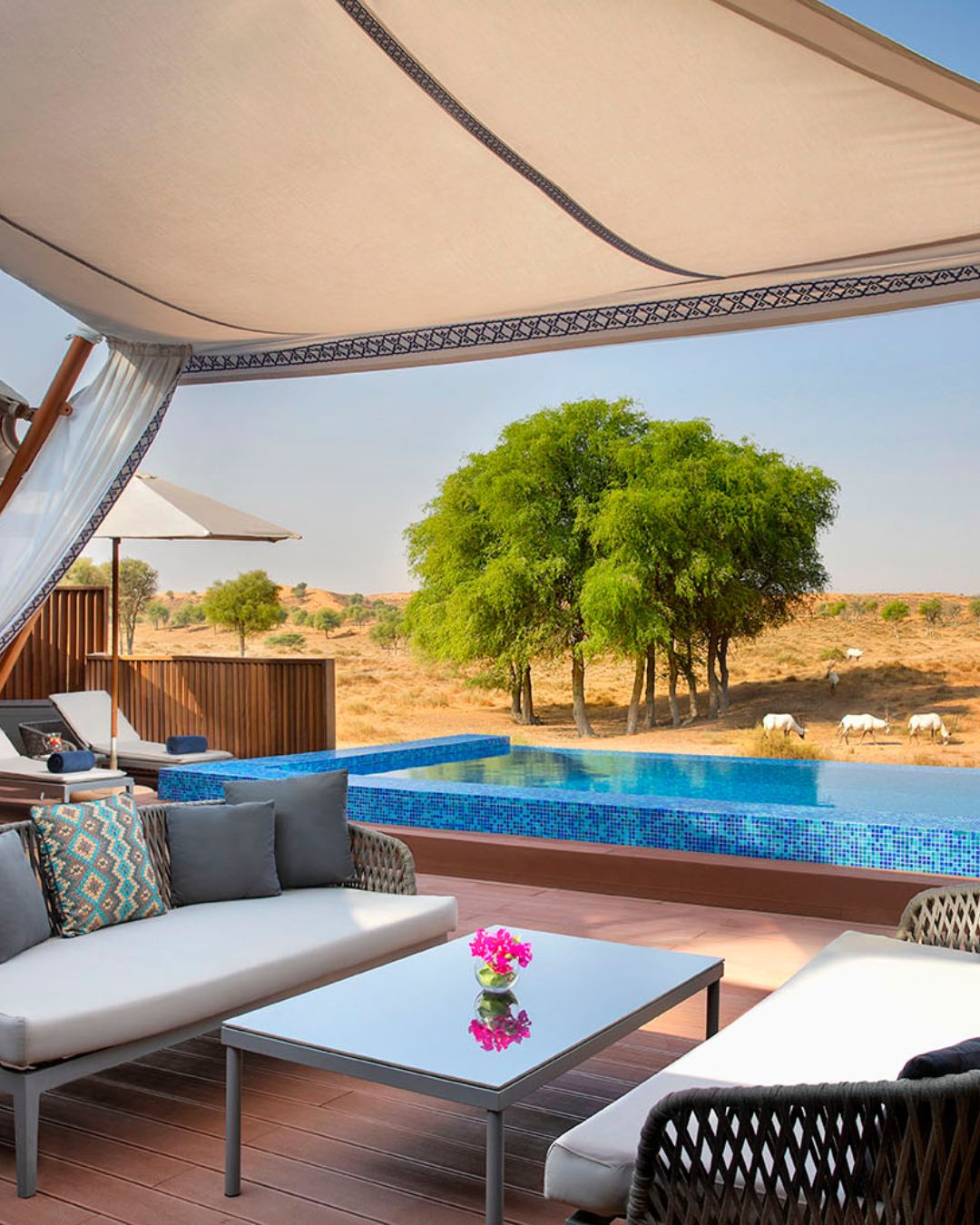 Ritz Carlton, Al Wadi Desert