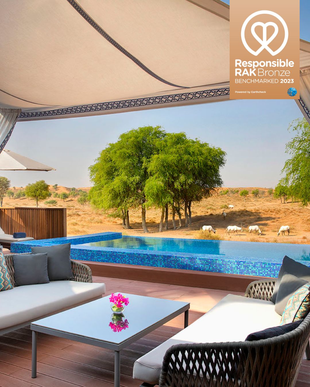 The Ritz-Carlton Ras Al Khaimah, AI Wadi Desert