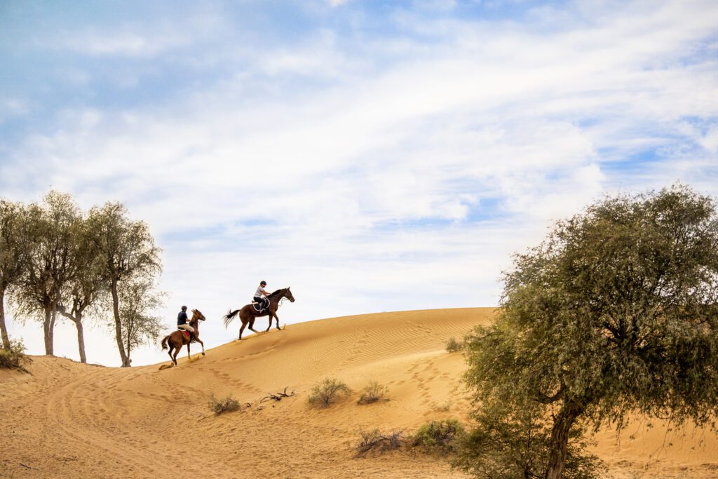 horseback riders in Al Wadi desert